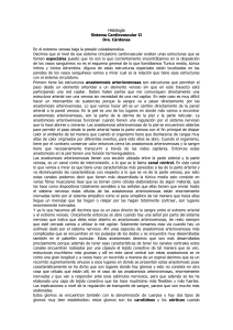 Ago/04/03 - Cardiovascular II