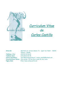 Curriculum Vitae - Carles Castillo