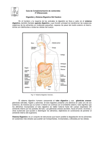 Guia Diferenciado Biol (Biología