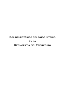Rol neurotóxico del óxido nítrico en la retinopatía