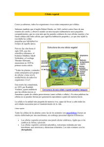 Célula vegetal