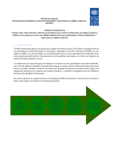 ToR_CONSULTORÍA APOYO PNCC , EN EL MARCO