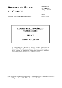 Informe del Gobierno