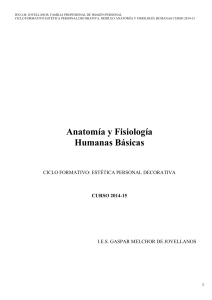 ciclo formativo: estética personal decorativa