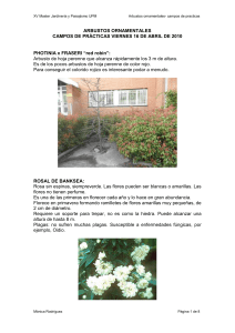 arbustos ornamentales- campos de practicas 16-04-10