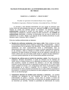 bases para el manejo integrado de las enfermedades del cultivo de
