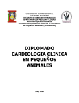Diplomado en Cardiología Clínica en Pequeños Animales