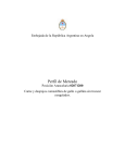 Embajada de la República Argentina en Angola Perfil de Mercado