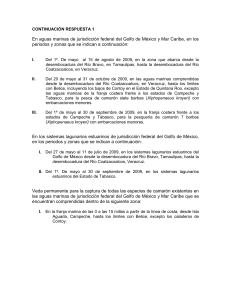 continuación respuesta 1