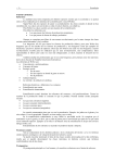 File - Derecho Archivos