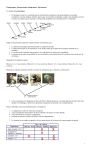 Cladogramas: ¡Interpretemos cladogramas