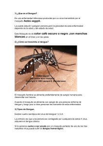 El documento difundido por Red Solidaria para