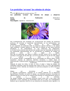 Los pesticidas `arrasan` las colonias de abejas