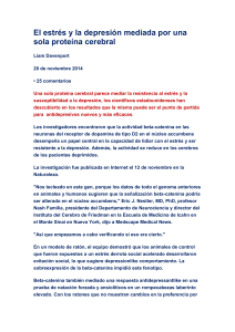 El estrés y la depresión mediada por una sola proteína cerebral