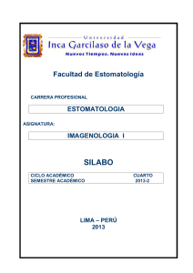 silabo - Universidad Inca Garcilaso de la Vega