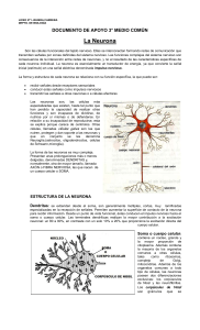 La Neurona - Liceo Javiera Carrera