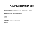 PLANIFICACION AULICA 2014 ESTABLECIMIENTO: Instituto Pedro