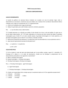 1806818546.TPN6COMPLEMENTARIOS