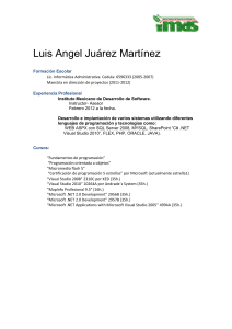 Ing. Luis Ángel Juárez Martínez - Instituto Mexicano de Desarrollo