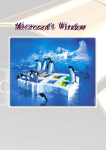 24. Windows CE