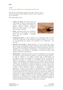Dossier - Laboratorio Basis