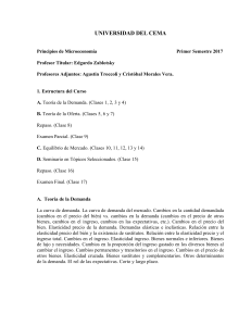 Programa primer semestre 2017