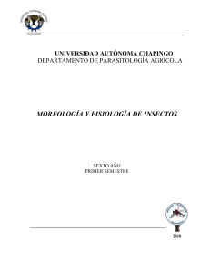 Descargar - Parasitología Agrícola