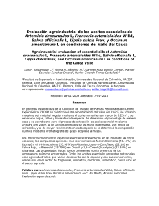 Evaluación agroindustrial de los aceites esenciales de Artemisia