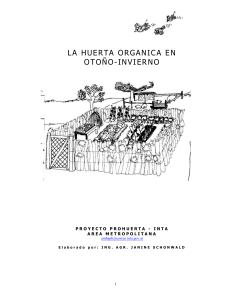 La Huerta organica en otoño