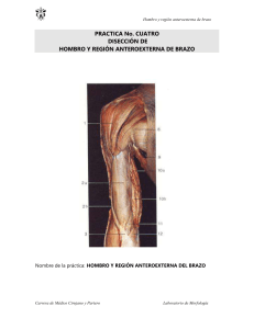 PRACTICA No - Taller de Disección CUSur