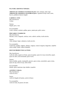 PLAN DEL GRUPO B: NOMADA