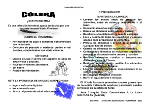 Indicaciones para prevenir el cólera
