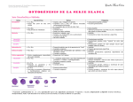 Descargar - Telmeds.org