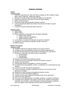 Anatomía y Fisiología Tejidos Trabajo en clase Ordena los