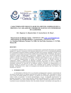 si-mcs-19 caracterizaciòn molecular de filamentos anormales