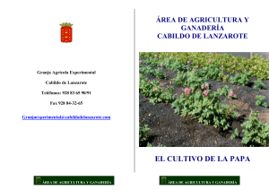 Granja Agrícola Experimental Cabildo de Lanzarote Teléfonos: 928