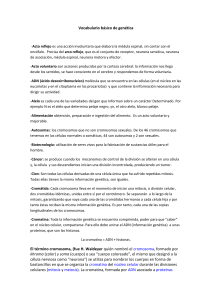 Vocabulario básico de genética -Acto reflejo es una acción