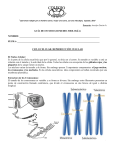 Guía de Estudio y Trabajo Biología (3°Medio)