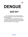 descargar informe sobre dengue