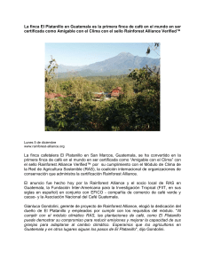 La finca El Platanillo en Guatemala es la primera finca de caf&eacute; en el