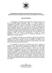 Carta Universidad Miguel Hernandez