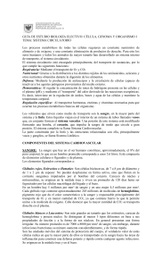 Chilean Eagles College La Florida