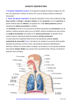 APARATO RESPIRATORIO 1. El aparato respiratorio humano. Es el