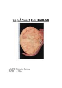 EL CÁNCER TESTICULAR NOMBRE: Christopher Espinoza