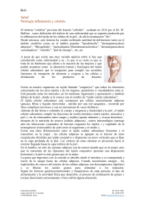 Dossier - Laboratorio Basis