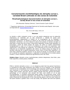 Caracterización morfofisiológica de Jatropha curcas L