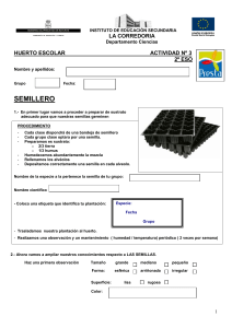 Semillero 2 ESO
