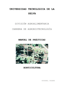 PRÁCTICA No. 5. - Universidad Tecnológica de la Selva