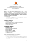 Perfil del puesto - Municipalidad de Rosario