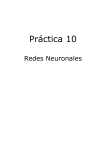 1 Redes neuronales